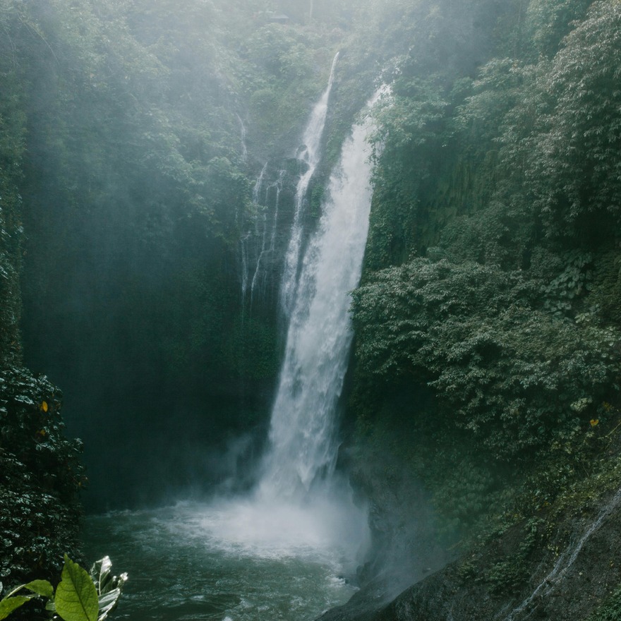 Untitled image